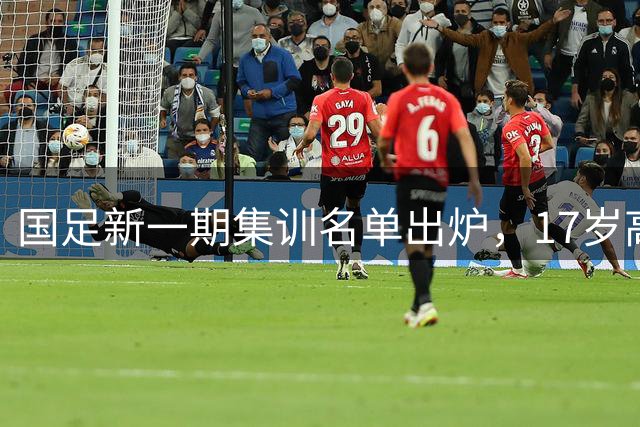 国足新一期集训名单出炉，17岁高中生创纪录入选